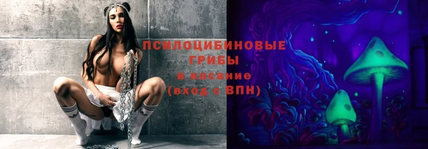 шишки Алексеевка