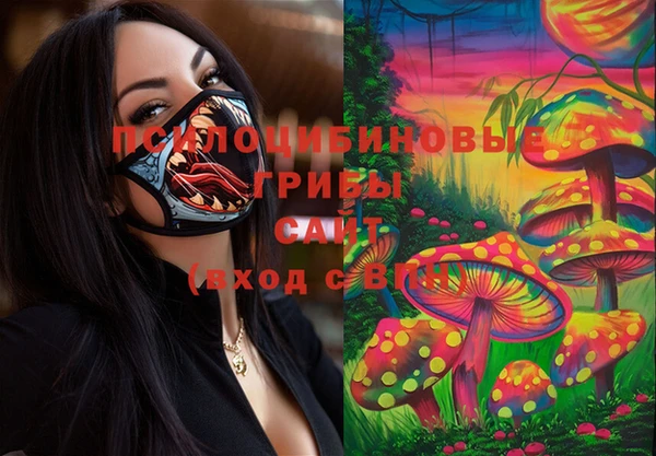 хмурый Протвино