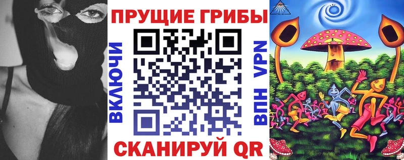 как найти закладки Морозовск Псилоцибиновые грибы прущие грибы
