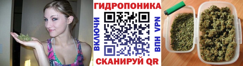 Канабис планчик  что такое   Морозовск 